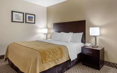 Photo 3 - Comfort Inn Horn Lake - Southhaven
