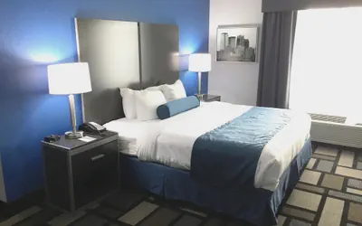Photo 3 - Best Western Plus Birmingham Inn & Suites