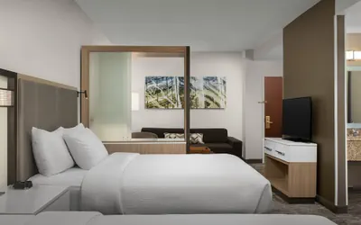Photo 2 - SpringHill Suites by Marriott Boston Peabody