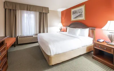 Photo 5 - The Elms Hotel