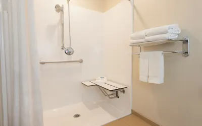 Photo 4 - Holiday Inn Express Hotel & Suites Grand Rapids-North by IHG