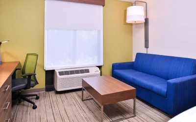 Photo 4 - Holiday Inn Express Hotel & Suites Tampa-Anderson Rd/Veteran by IHG