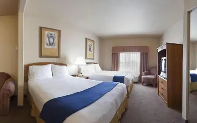 Photo 3 - Holiday Inn Express Hotel & Suites Mission-McAllen Area by IHG
