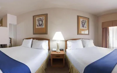 Photo 4 - Holiday Inn Express Hotel & Suites Mission-McAllen Area by IHG