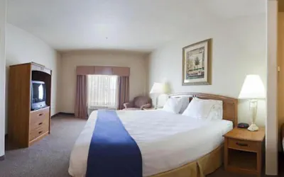 Photo 5 - Holiday Inn Express Hotel & Suites Mission-McAllen Area by IHG