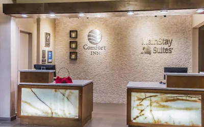 Photo 3 - Comfort Inn Edinburg South