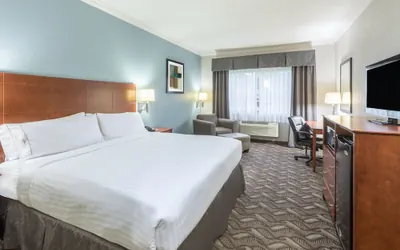 Photo 3 - Holiday Inn Express Hotel & Suites Lake Charles by IHG
