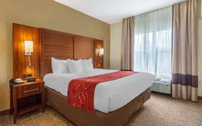 Photo 4 - Comfort Suites Southaven - Memphis South