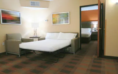 Photo 5 - Holiday Inn Express & Suites Elk Grove Central - Hwy 99 by IHG