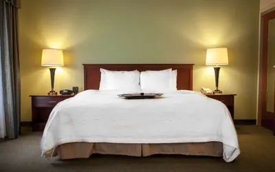 Photo 5 - Hampton Inn & Suites Springfield-Southwest