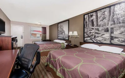 Photo 5 - Super 8 by Wyndham Chattanooga Ooltewah