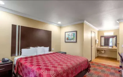 Photo 5 - Econo Lodge Inn & Suites Escondido Downtown