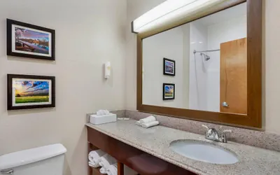 Photo 5 - Comfort Suites Brenham