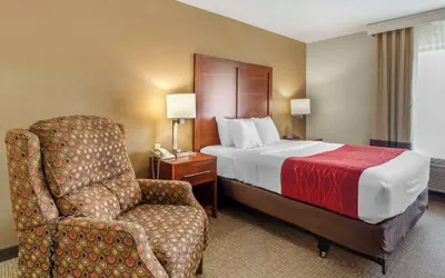 Photo 5 - Comfort Inn & Suites Rapid City South - Mt. Rushmore Gateway