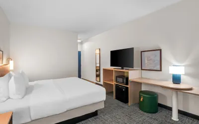 Photo 4 - Spark by Hilton Ann Arbor South