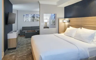 Photo 4 - SpringHill Suites Detroit Southfield