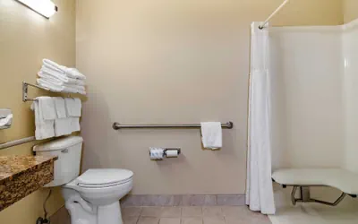 Photo 5 - Comfort Inn & Suites Suwanee - Sugarloaf