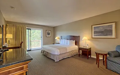 Photo 5 - Kingwood Resort