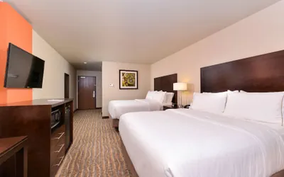 Photo 5 - Holiday Inn Express & Suites Houston NW - Tomball Area by IHG