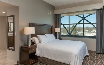 Photo 5 - Embassy Suites Saratoga Springs