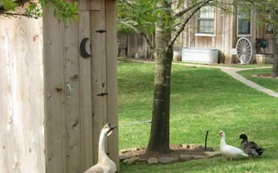 Photo 2 - Honey Farm Bed & Breakfast