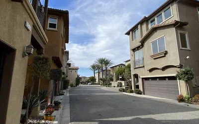 Photo 2 - Olive Glen
