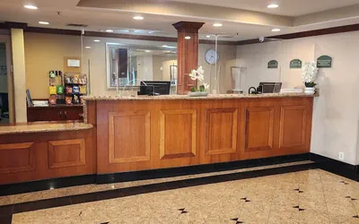 Photo 4 - Hotel Xola