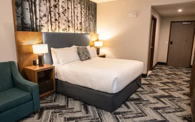 Photo 4 - The Alder at Resorts World Catskills