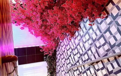 Photo 2 - Umbrella Hotel