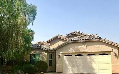 Palmen Maricopa