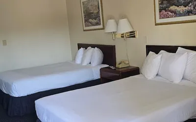 Photo 5 - Terrace Inn and Suites