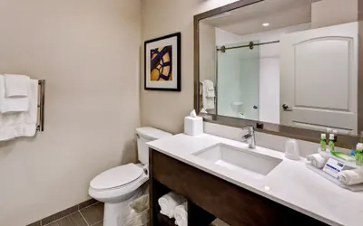 Photo 5 - Holiday Inn Express & Suites Manhattan by IHG