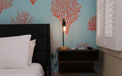 Photo 4 - Tranquility Guest House