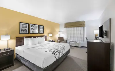Photo 4 - Sleep Inn & Suites Carlsbad Caverns Area