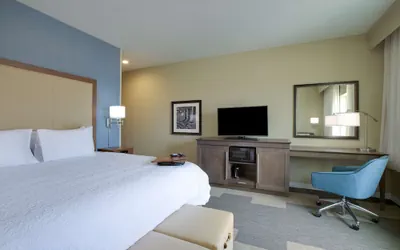 Photo 5 - Hampton Inn Snyder TX
