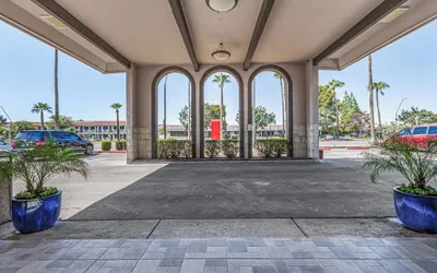 Tempe Oasis