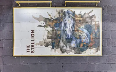 Photo 2 - The Stallion
