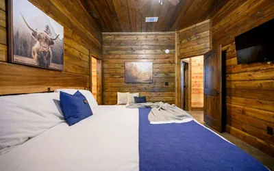 Photo 5 - Cabin Vibe - Bunkroom - 3 King - Firepit - Shuffleboard