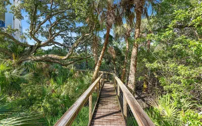 Photo 2 - Z-oceanwalk 12-404