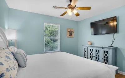 Photo 3 - Sand Dollar B