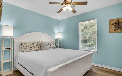 Photo 5 - Sand Dollar B