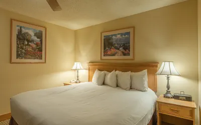 Photo 5 - Crested Butte Mountain Resort