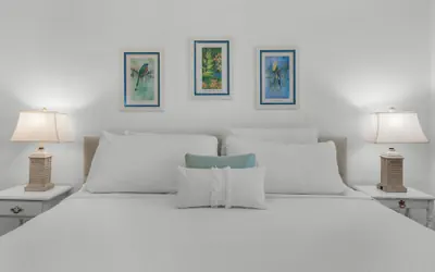 Photo 4 - Seagrove 2BR Near Lake & Beach + Free Tickets: Bikes, Dolphin Cruise & More!