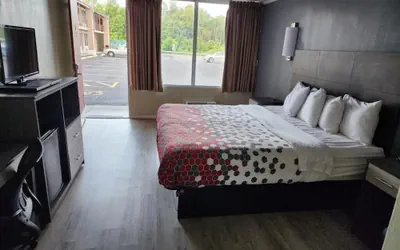 Photo 3 - The Edyn Motel