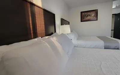 Photo 5 - The Suite Inn