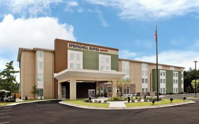 Photo 2 - Springhill Suites Mobile
