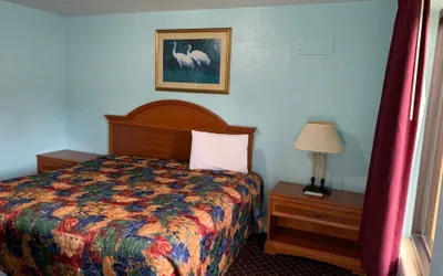 Photo 2 - Travel Inn of Daytona