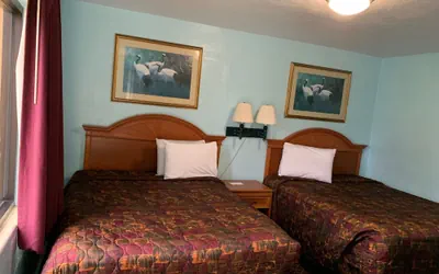 Photo 3 - Travel Inn of Daytona