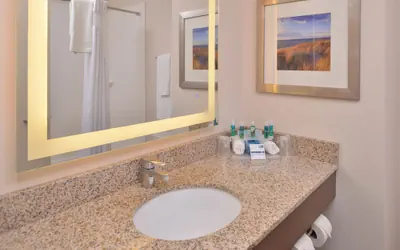 Photo 4 - Holiday Inn Express & Suites Dearborn SW - Detroit Area by IHG