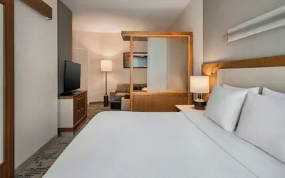 Photo 2 - Springhill Suites Buffalo Airport